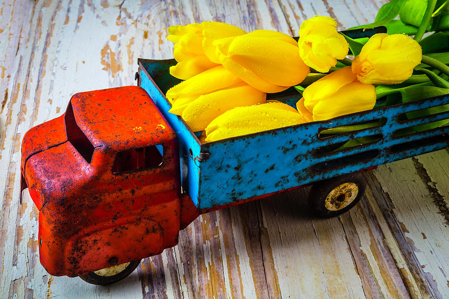 Toy Photograph - Tulips In Toy Truck by Garry Gay