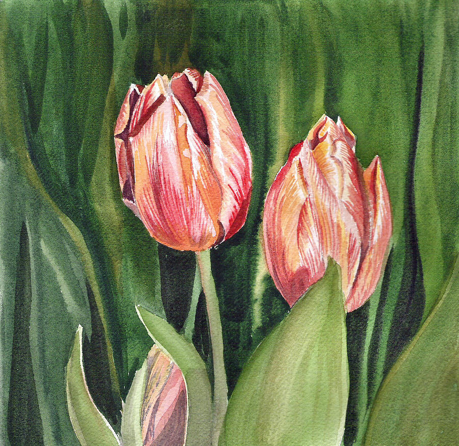 Tulip Painting - Tulips  by Irina Sztukowski