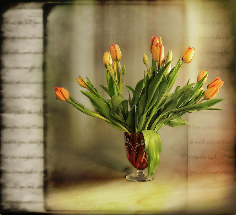 Tulips Photograph by John Anderson