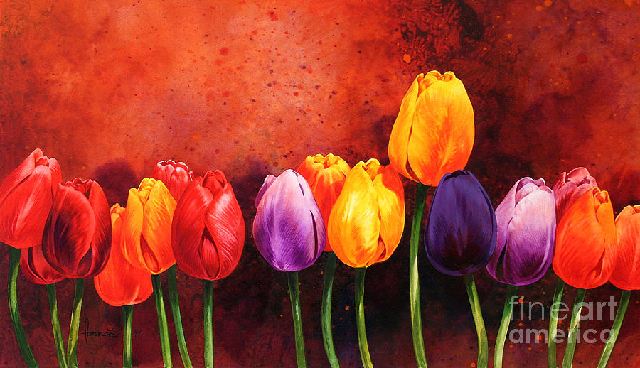 Tulip Painting - Tulips by MGL Meiklejohn Graphics Licensing