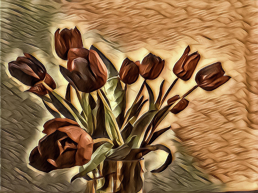 Tulips Photograph by Jonathan Nguyen