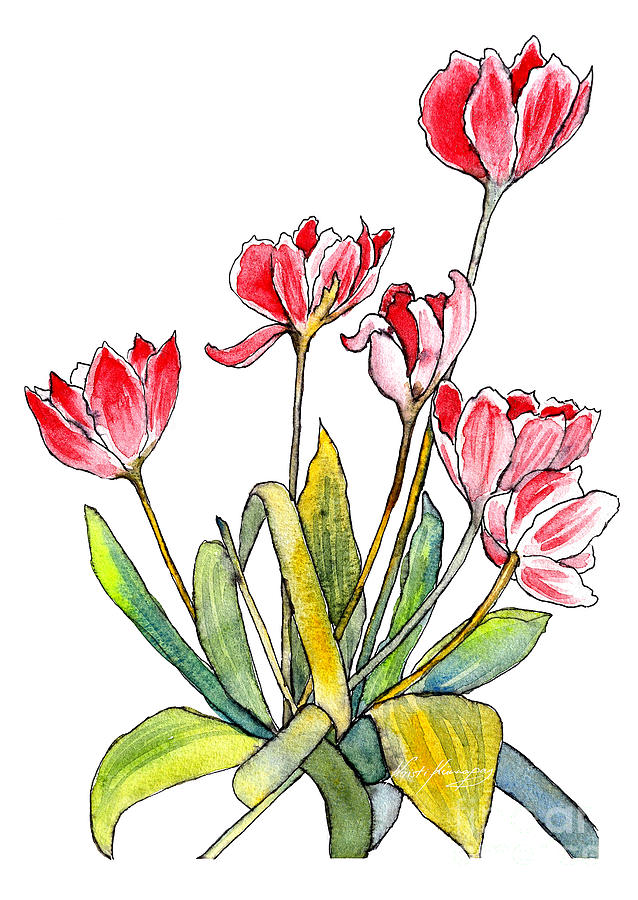 Tulip Painting - Tulips by Kristi Kunnapas