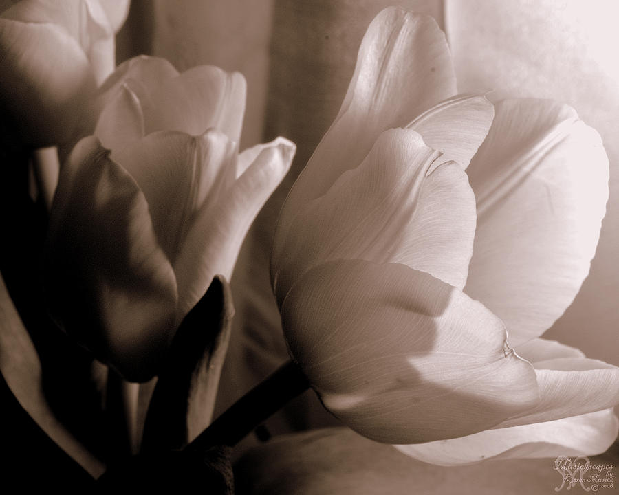 Tulips of Love Too Photograph by Karen Musick