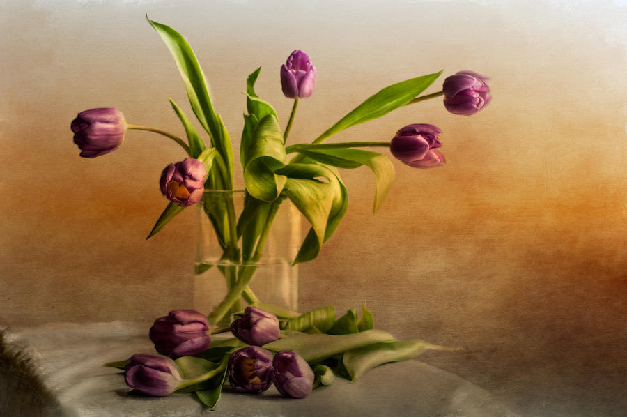 Flower Photograph - Tulips on a Table  by Maggie Terlecki