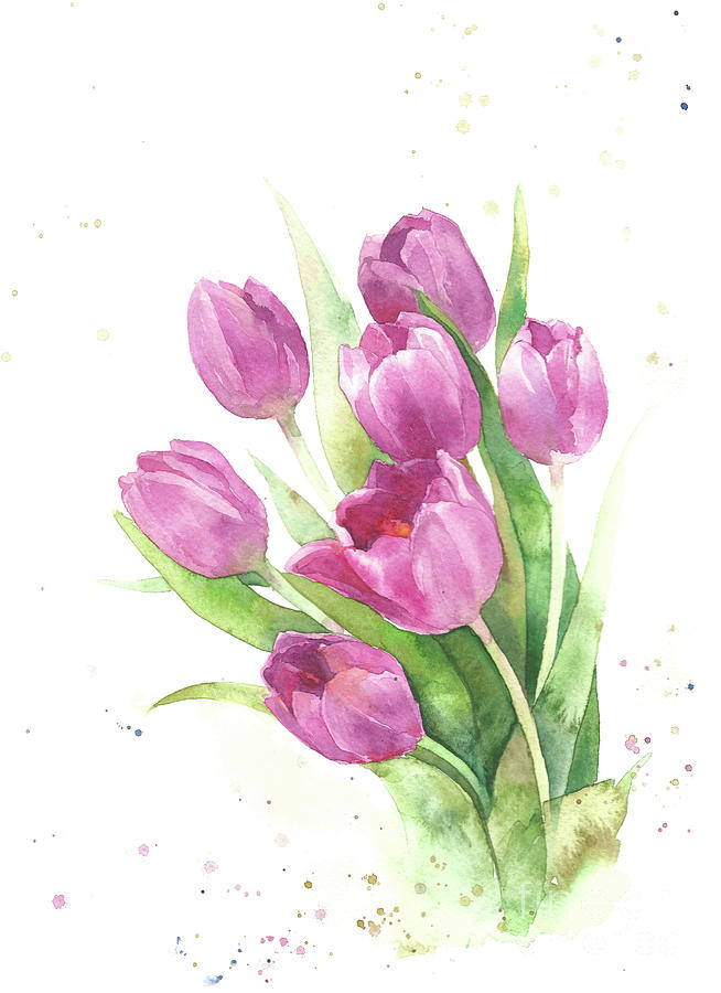 Tulips pink watercolor flowers hand draw. Painting by Mary Pashkova