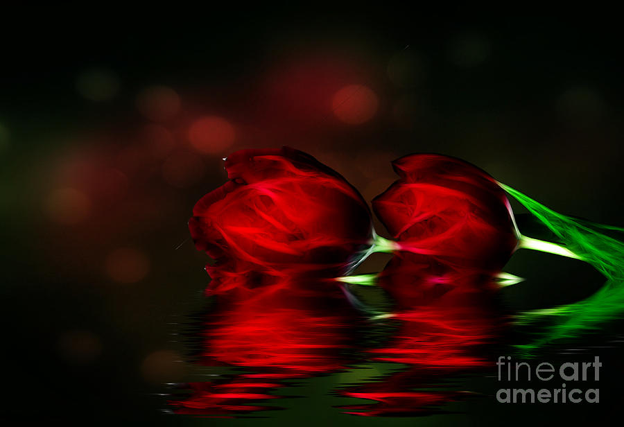Tulips - Red Photograph by Shirley Mangini