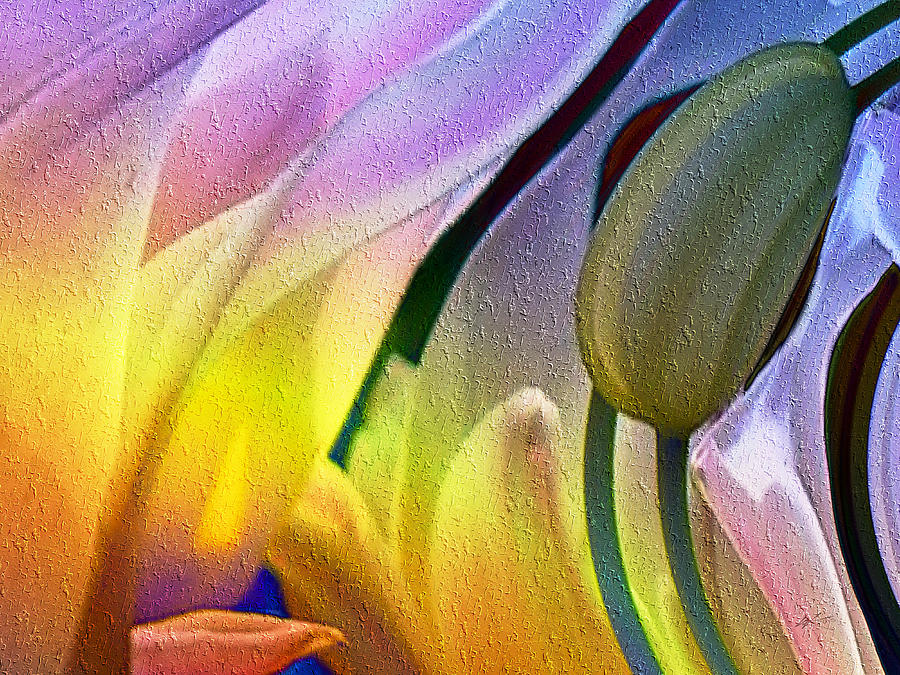 Tulips Secret Digital Art