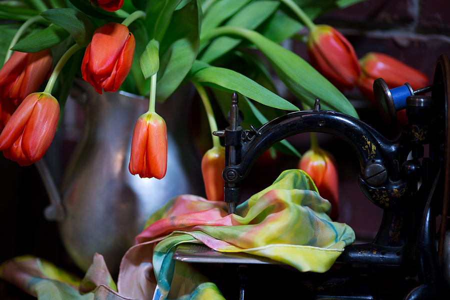 Tulips Photograph by Sharon Jones