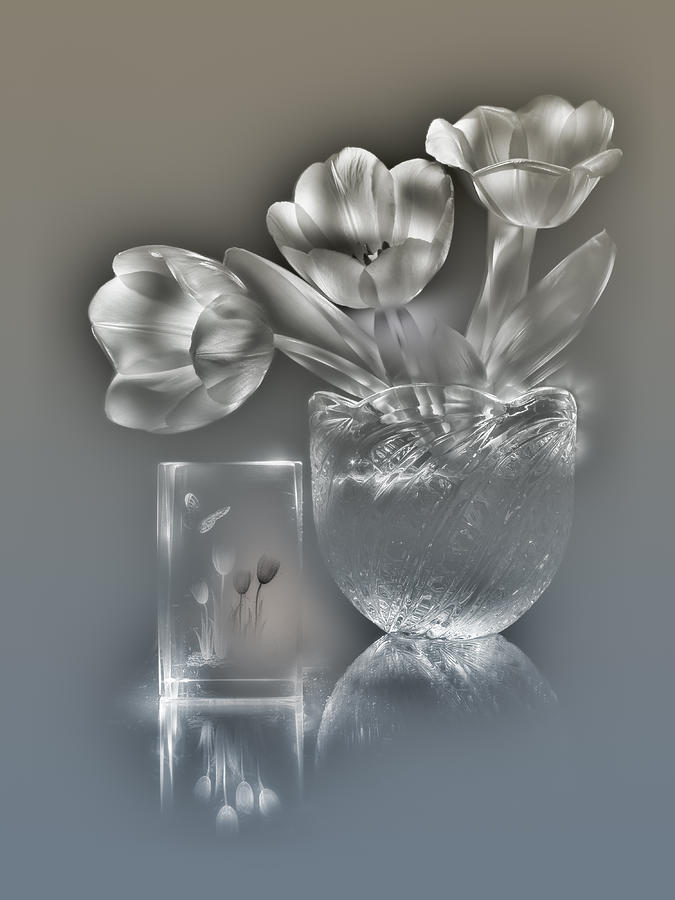 Tulips, silver variant Photograph by Alexey Kljatov