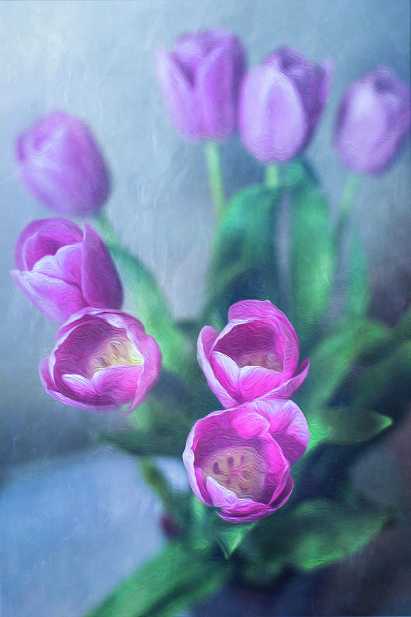 Tulips Study #1 Photograph by Elvira Pinkhas