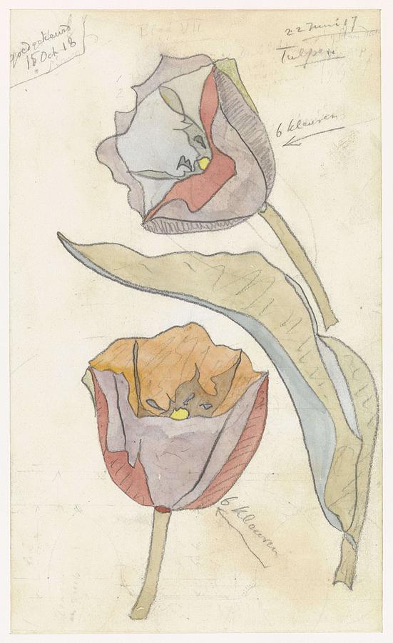 Tulips, Theo Colenbrander, 1917 Painting