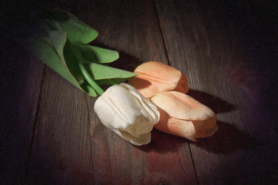 Tulip Photograph - Tulips by Tom Mc Nemar