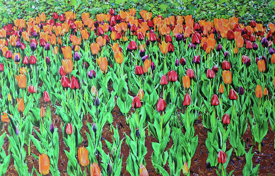 Tulips Tulips Everywhere Painting by Deborah Boyd