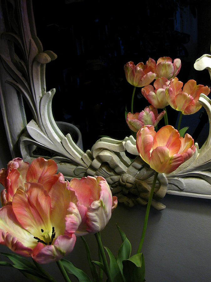 Tulips Photograph - Tulips by Vari Buendia Tulips Photograph - Tulips by Vari Buendia
