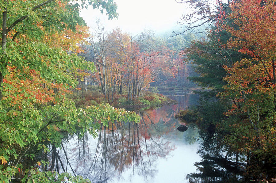 Fall Photograph - Tully River Autumn by John Burk