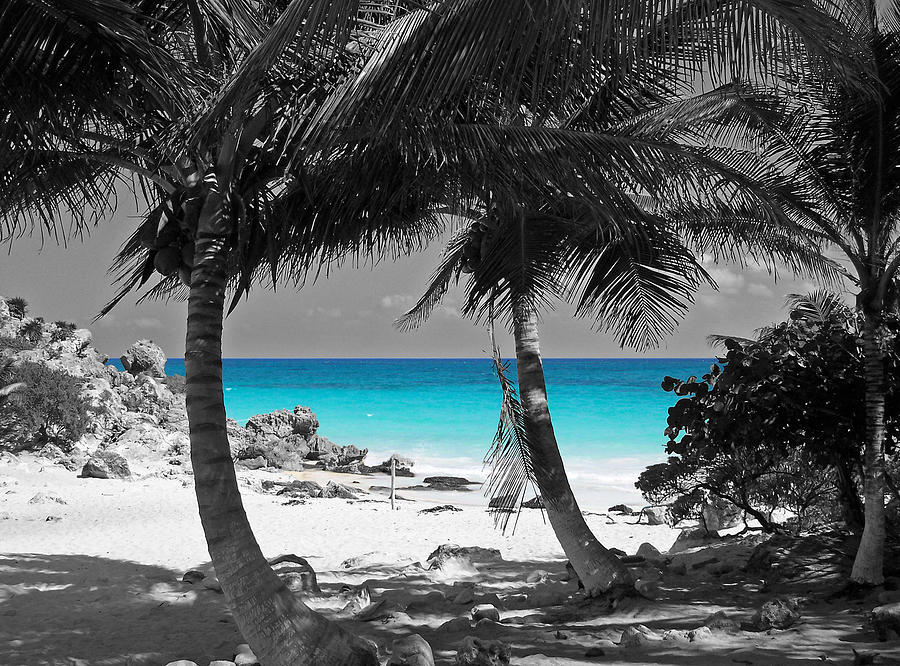 Black And White Digital Art - Tulum Mexico Beach Color Splash Black and White by Shawn OBrien