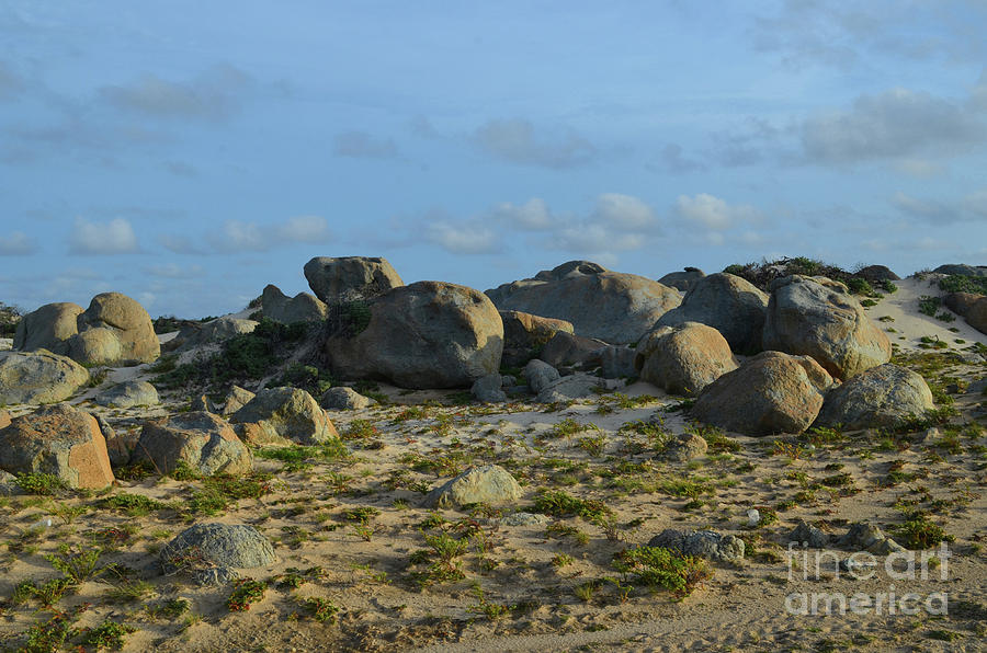 Tumbled Limestone Boulders on the North Shore of Aruba Photograph by DejaVu Designs