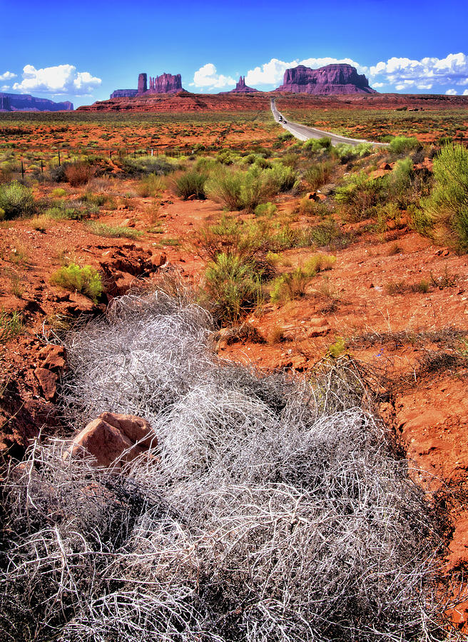 Tumbleweed near Monument Valley Photograph by Carolyn Derstine