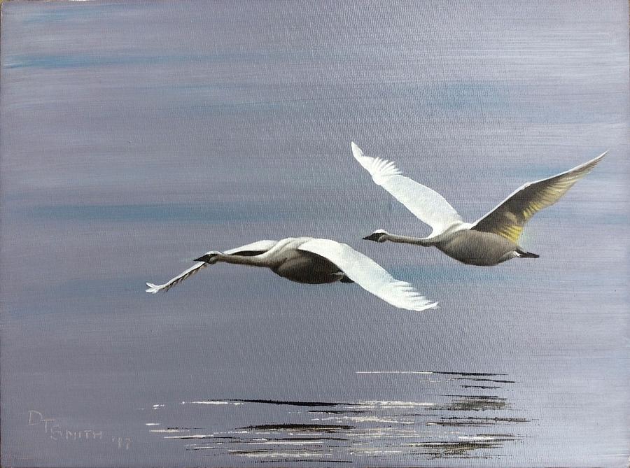 Tundra Swans Painting By Daniel Smith - Fine Art America