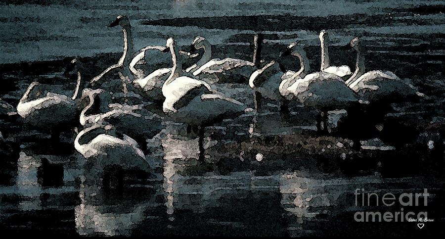 Tundra Swans Photograph by Donna Brown