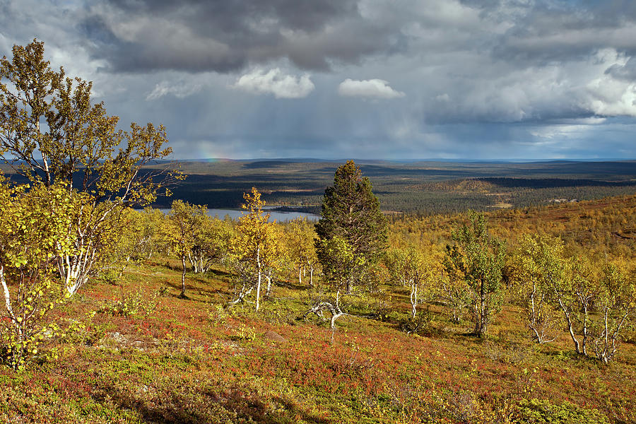 Tundra View Photograph by Aivar Mikko