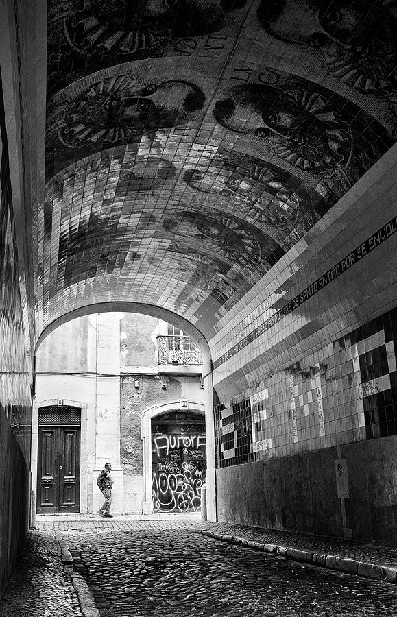 Tunel do Tronco Photograph by Carlos Caetano