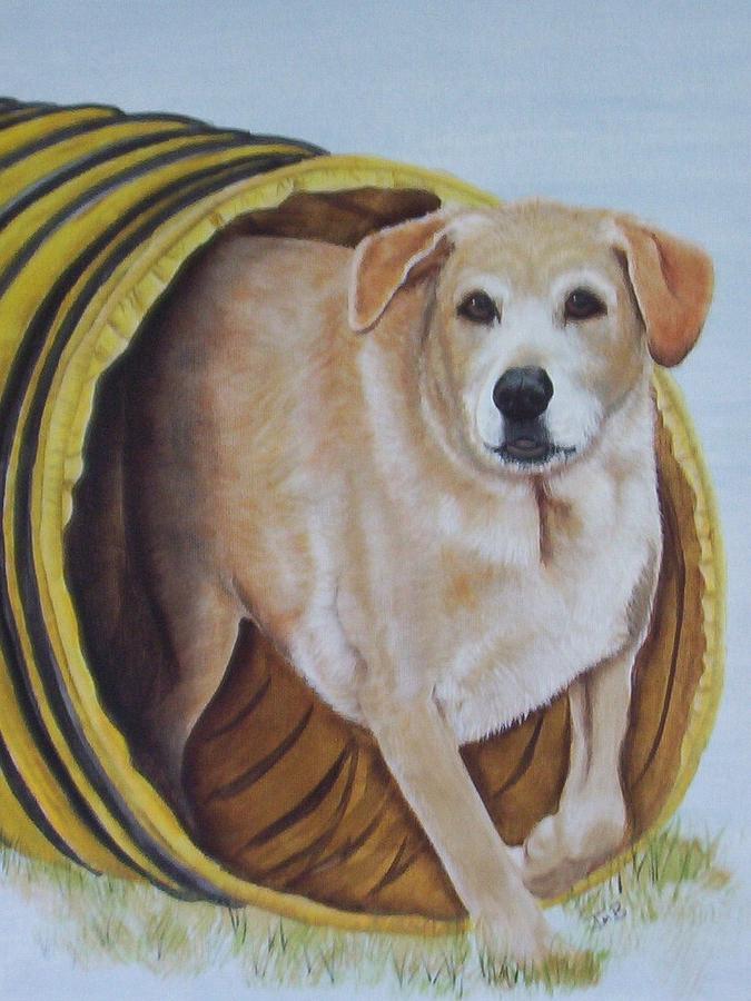 Dog Painting - Tunnel Dog by Janice M Booth