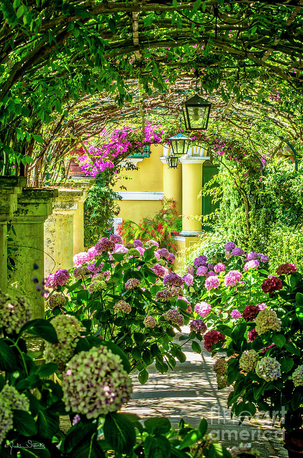 Tunnel Of Flowers Photograph