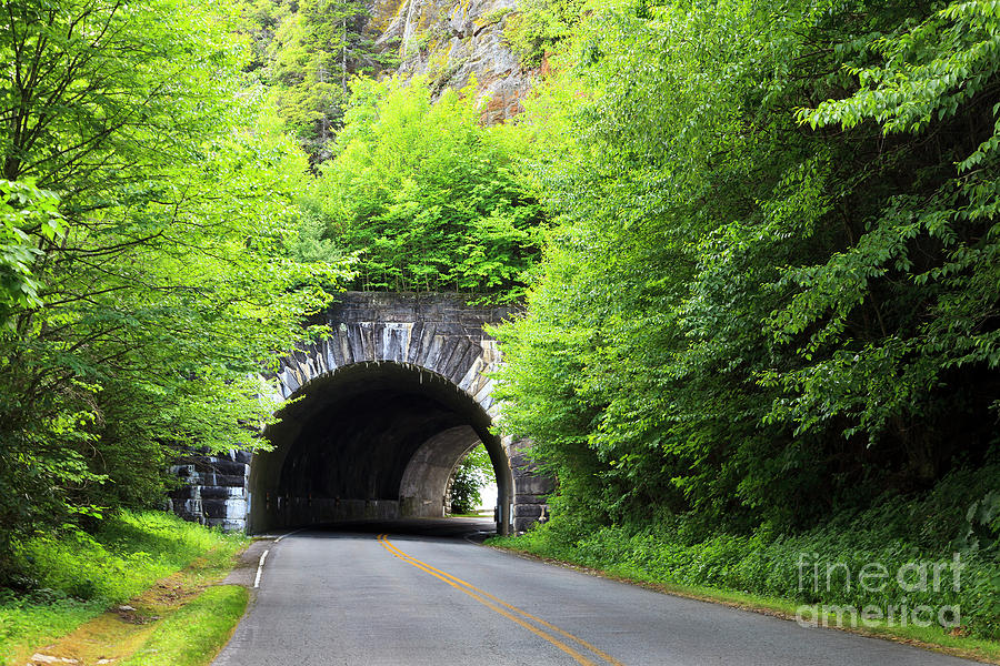 Tunnel on the Parkway Photograph by Jill Lang