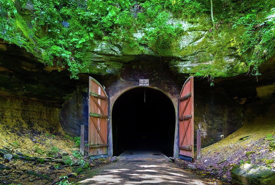 Tunnel on the Trail Photograph by Chuck De La Rosa