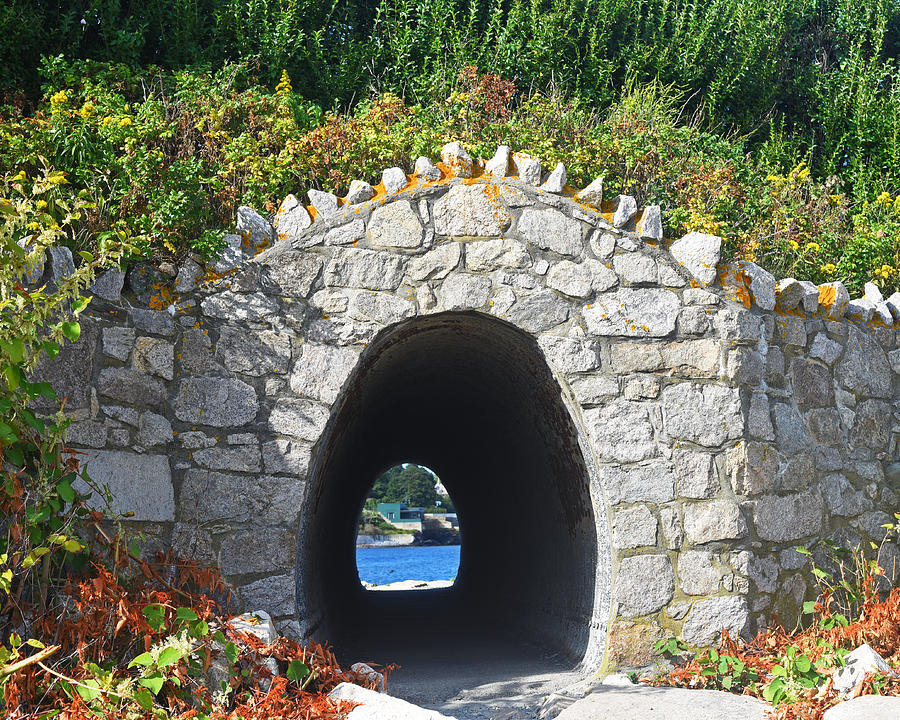 Tunnel to the sea Newport RI Cliff Walk Photograph by Toby McGuire