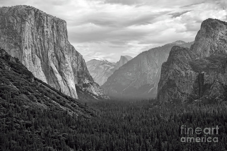 Tunnel view BW Photograph by Chuck Kuhn