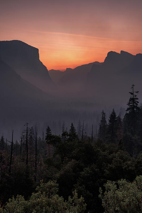 Tunnel view dawn Photograph by Davorin Mance