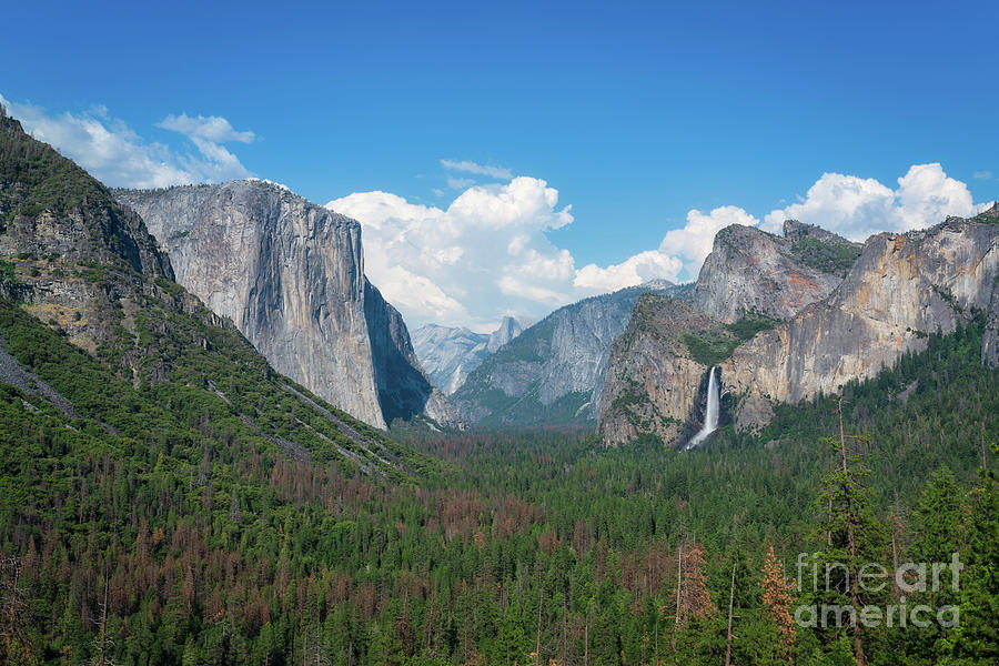 Tunnel View  Photograph by Michael Ver Sprill