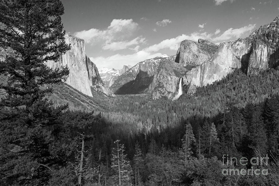 Tunnel View Shadow bw Photograph by Cheryl Del Toro