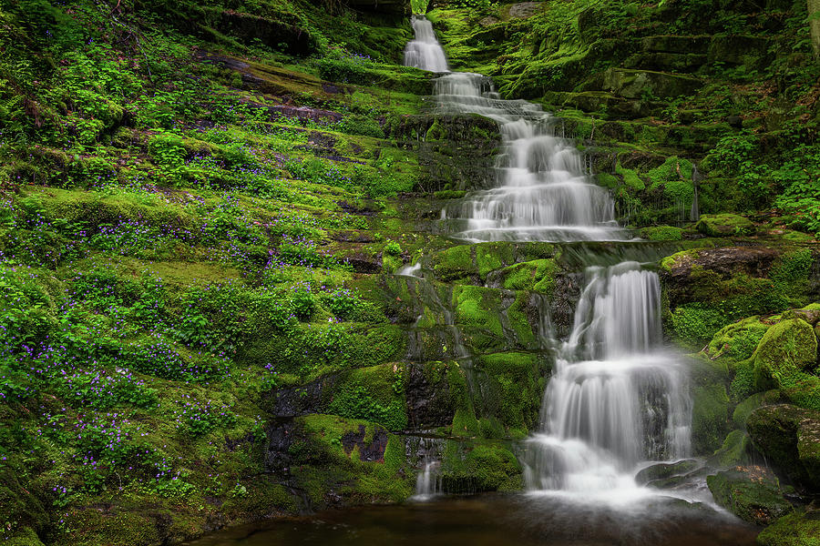 Tunxis Forest Waterfall Photograph by Bill Wakeley