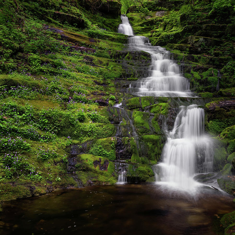 Spring Photograph - Tunxis Forest Waterfall Square by Bill Wakeley