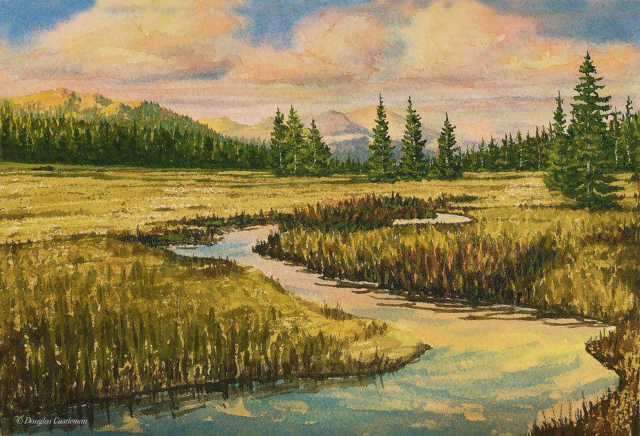 Tuolumme Meadows in the Late Afternoon Painting by Douglas Castleman