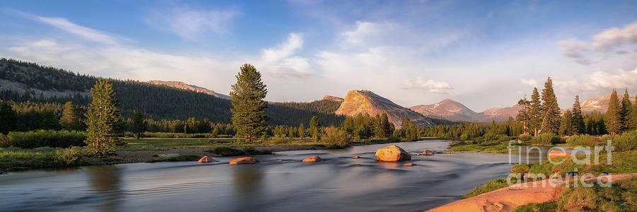 Tuolumne Meadow Photograph by Anthony Michael Bonafede