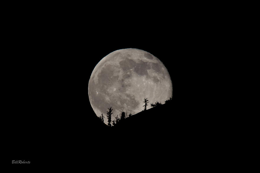 Tuolumne Meadows Full Moon Photograph by Bill Roberts