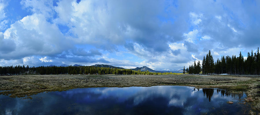 Tuolumne Meadows Panorama Photograph by Kyle Hanson