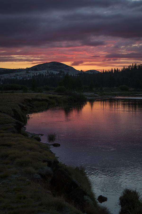 Tuolumne meadows river sunset Photograph by Duncan Selby