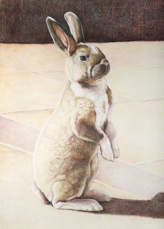 Turbo Bunny Painting by Charlotte Yealey