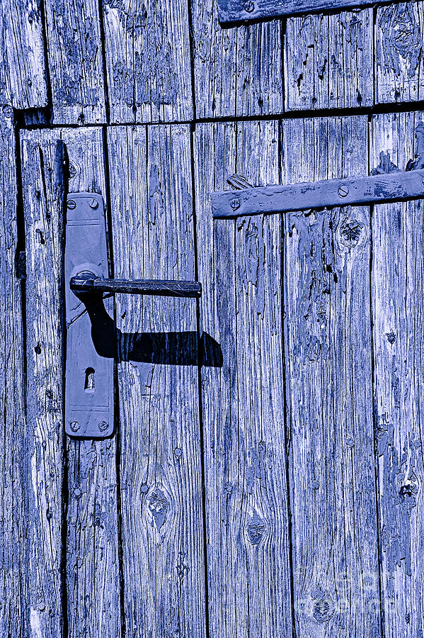 Turf Door Blue Photograph by Rick Bragan