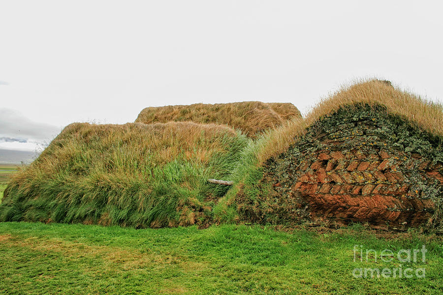 Turf houses in Iceland Photograph by Patricia Hofmeester