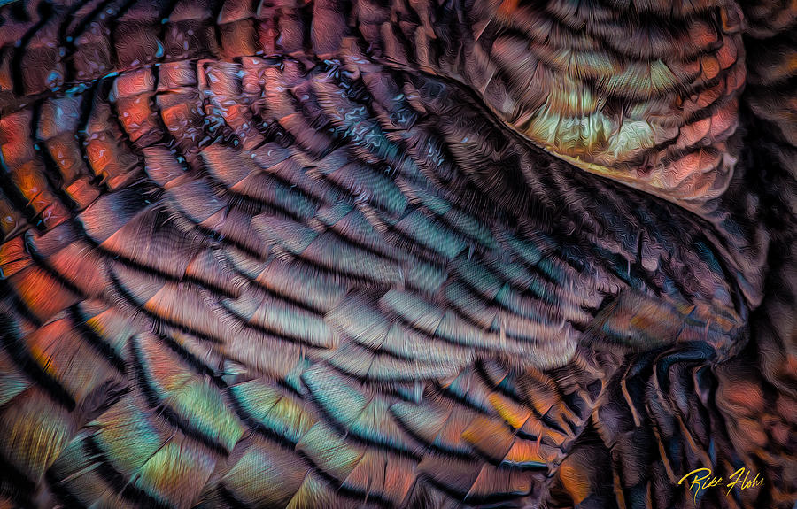 Turkey Abstract Photograph by Rikk Flohr