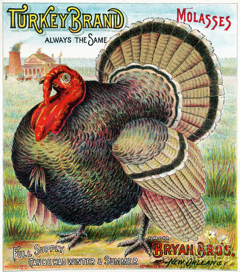 Turkey Brand Molasses.  Photograph by Granger