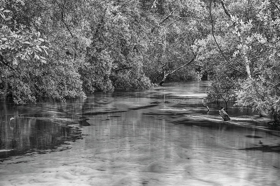Turkey Creek in Black and White Photograph by JC Findley