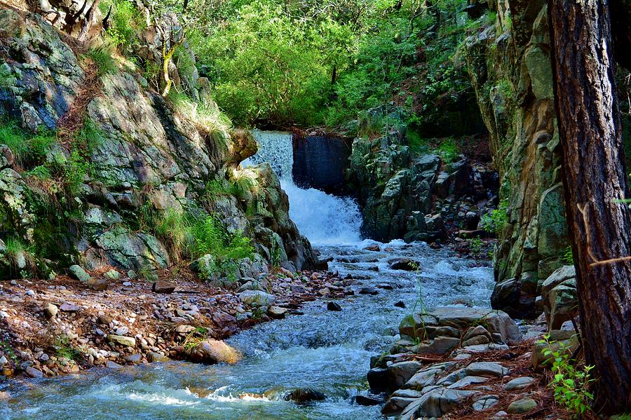 West Turkey Creek Campground