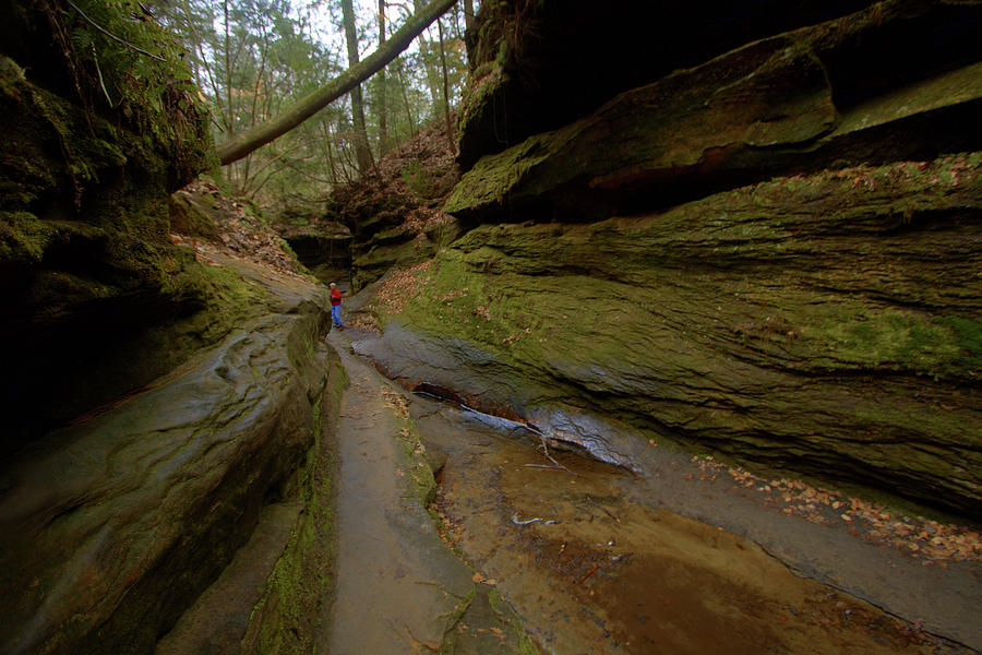 Turkey Run State Park, Indiana Photograph by Steve Schrock - Fine Art ...